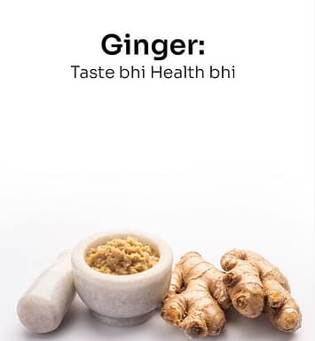 Ginger Health BHi Taste BHi